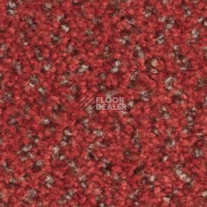 Ковролин Balsan Tango Tango 570 фото 1 | FLOORDEALER