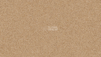 Линолеум Tarkett Craft Gelios 1 фото 1 | FLOORDEALER