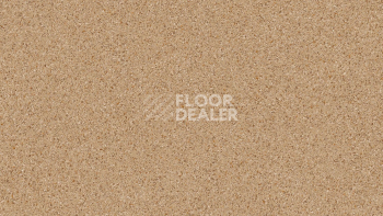 Линолеум Tarkett Craft Gelios 1 фото 1 | FLOORDEALER