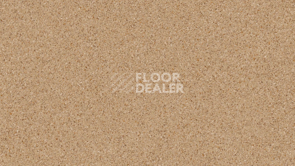 Линолеум Tarkett Craft Gelios 1 фото 1 | FLOORDEALER