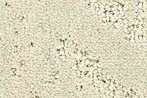 Ковролин Balsan Icone 605 фото  | FLOORDEALER