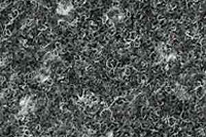 Ковролин Dura Pixel 780 фото  | FLOORDEALER