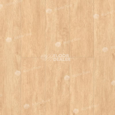 Кварцвиниловые полы Alpine Floor Classic Бук ECO 152-9 фото 1 | FLOORDEALER