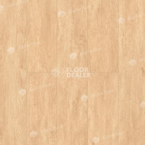 Кварцвиниловые полы Alpine Floor Classic Бук ECO 152-9 фото 1 | FLOORDEALER