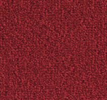 Ковролин Balsan Scenario 560 фото 1 | FLOORDEALER