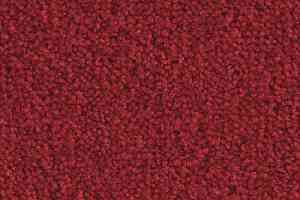 Ковролин Balsan Scenario 560 фото  | FLOORDEALER