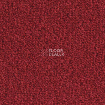 Ковролин Balsan Scenario 560 фото 1 | FLOORDEALER