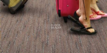 Ковролин Balta ITC Spontini Spontini фото 1 | FLOORDEALER