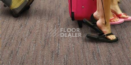 Ковролин Balta ITC Spontini Spontini фото 1 | FLOORDEALER