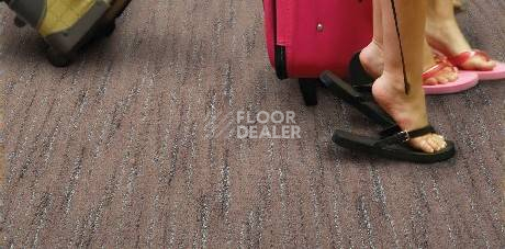 Ковролин Balta ITC Spontini Spontini фото 1 | FLOORDEALER