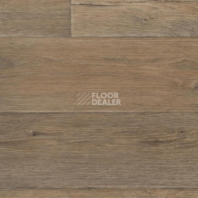 Линолеум Tarkett Престиж Texas 1 фото 1 | FLOORDEALER