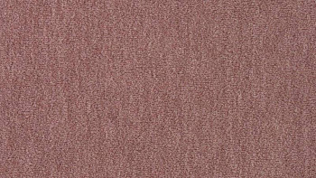 Ковролин Vorwerk Passion 1002 Vorwerk 1j95 фото 1 | FLOORDEALER