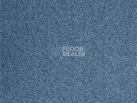 Ковролин ITC Evolve Evolve 77 фото 1 | FLOORDEALER