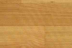 Линолеум Tarkett Весна NEVA_1 фото  | FLOORDEALER