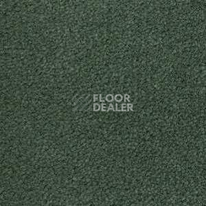 Ковролин Radici Montecarlo 73 фото 1 | FLOORDEALER