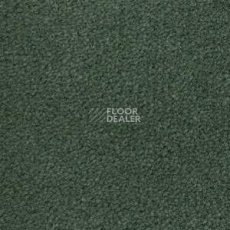 Ковролин Radici Montecarlo 73 фото 1 | FLOORDEALER