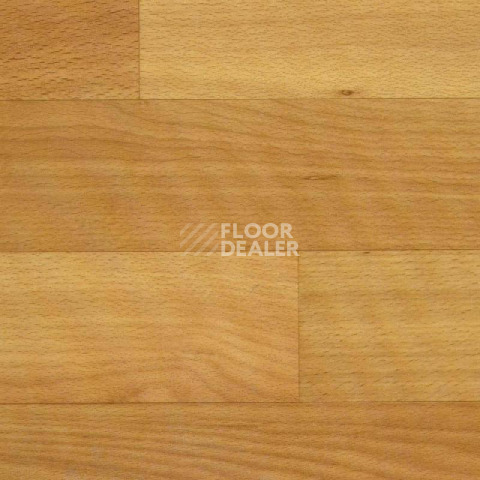 Линолеум Tarkett Весна NEVA_1 фото 1 | FLOORDEALER
