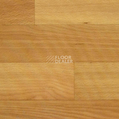 Линолеум Tarkett Весна NEVA_1 фото 1 | FLOORDEALER