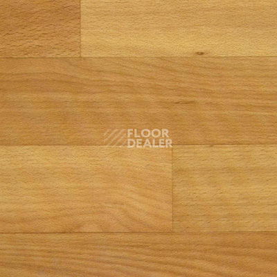 Линолеум Tarkett Весна NEVA_1 фото 1 | FLOORDEALER
