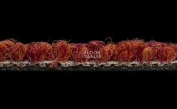 Desso Grain 4211 фото 4 | FLOORDEALER