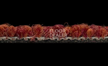 Desso Grain 4211 фото 4 | FLOORDEALER
