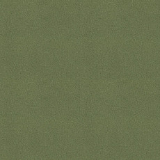 Ковровая плитка Tessera basis pro 4201 Sage фото 1 | FLOORDEALER