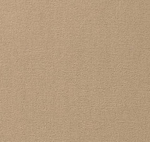 Ковролин Vorwerk Passion 1000/Modena Vorwerk 8a80 фото 1 | FLOORDEALER