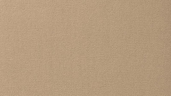 Ковролин Vorwerk Passion 1000/Modena Vorwerk 8a80 фото 1 | FLOORDEALER