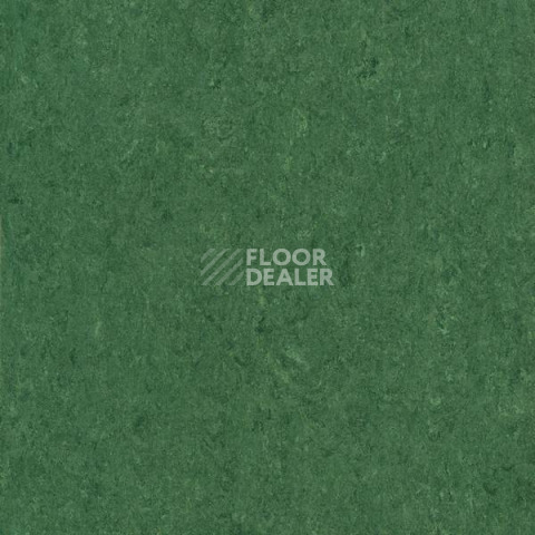 Линолеум Gerflor Marmorette Acoustic DLW 121-041 фото 1 | FLOORDEALER