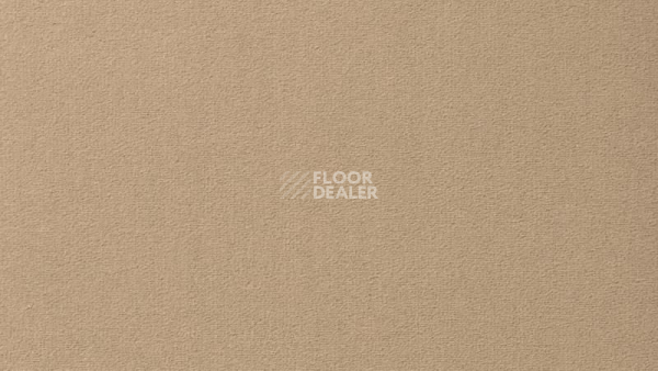 Ковролин Vorwerk Passion 1000/Modena Vorwerk 8a80 фото 1 | FLOORDEALER