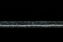 IVC Animate 699 фото 5 | FLOORDEALER