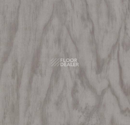 Кварцвиниловые полы Forbo Allura Premium 60246 фото 1 | FLOORDEALER