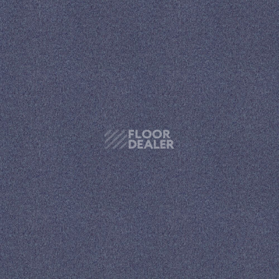 Ковровая плитка Forbo Tessera basis pro 4380 Blackcurrant фото 1 | FLOORDEALER