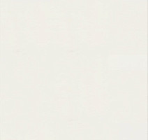 Линолеум Настенное покрытие Tarkett Wallgard Rolls White фото 1 | FLOORDEALER