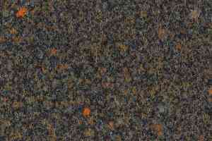 Ковролин Forbo Forte Graphic Reef 97006 фото  | FLOORDEALER