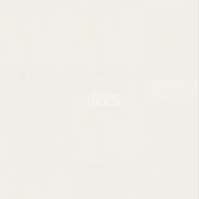 Линолеум Настенное покрытие Tarkett Wallgard Rolls White фото 1 | FLOORDEALER