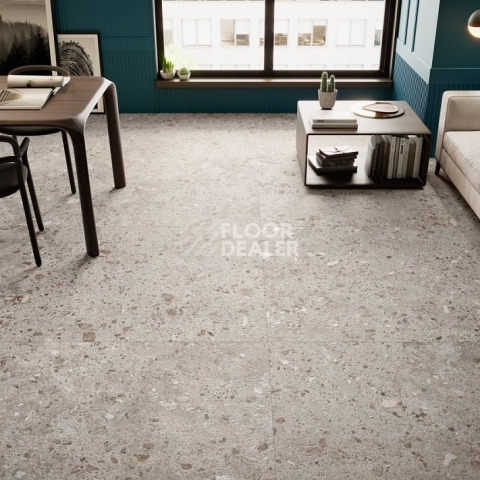 Bierzo 60X120 Gris фото 2 | FLOORDEALER