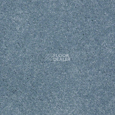 Ковролин Shaw Design Texture Platinum 422 фото 1 | FLOORDEALER