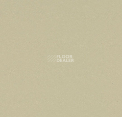 Линолеум Forbo SureStep Laguna 181142 sand фото 1 | FLOORDEALER