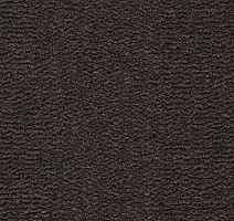 Ковролин Best Wool Pure Tasman 179 фото 1 | FLOORDEALER