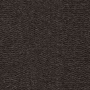Ковролин Best Wool Pure Tasman 179 фото ##numphoto## | FLOORDEALER