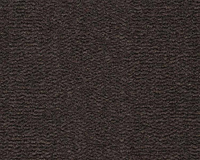 Ковролин Best Wool Pure Tasman 179 фото 1 | FLOORDEALER