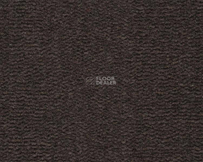 Best Wool Pure Tasman 179 фото 1 | FLOORDEALER
