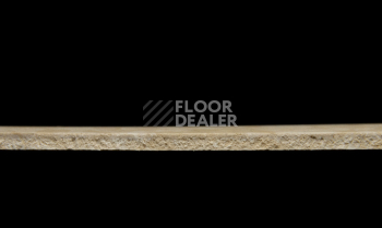 Tarkett iq Melodia 2645 фото 4 | FLOORDEALER