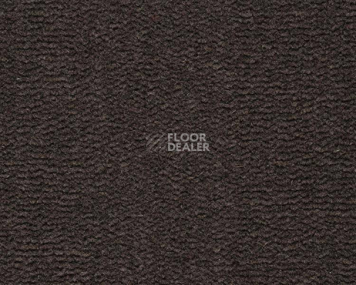 Ковролин Best Wool Pure Tasman 179 фото 1 | FLOORDEALER