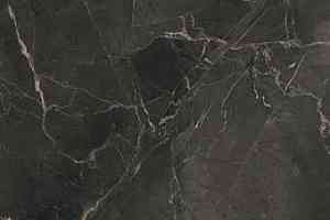 Керамогранит Purity Of Marble XL 278x120 Supreme Dark Lux фото  | FLOORDEALER