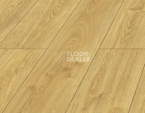 Kronopol Platinium Milo AQUA BLOCK 8mm Kronopol Platinium Milo Aqua Block 24h Дуб Эос D40044 фото 2 | FLOORDEALER