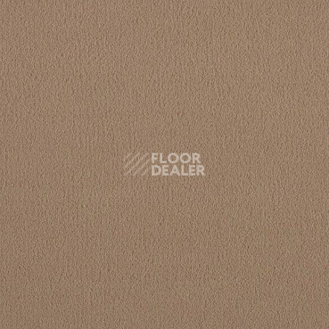 Ковролин Lano Brezina 260 фото 1 | FLOORDEALER