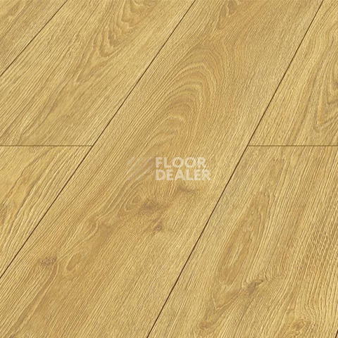 Kronopol Platinium Milo AQUA BLOCK 8mm Kronopol Platinium Milo Aqua Block 24h Дуб Эос D40044 фото 2 | FLOORDEALER