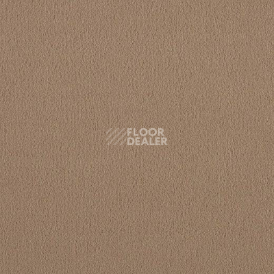 Ковролин Lano Brezina 260 фото 1 | FLOORDEALER